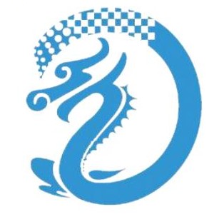 龍軟科技